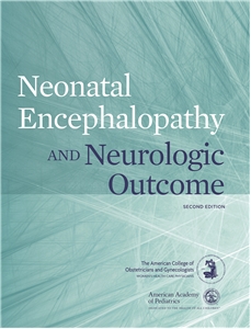 Neonatal Encephalopathy and Neurologic Outcome, Second Edition